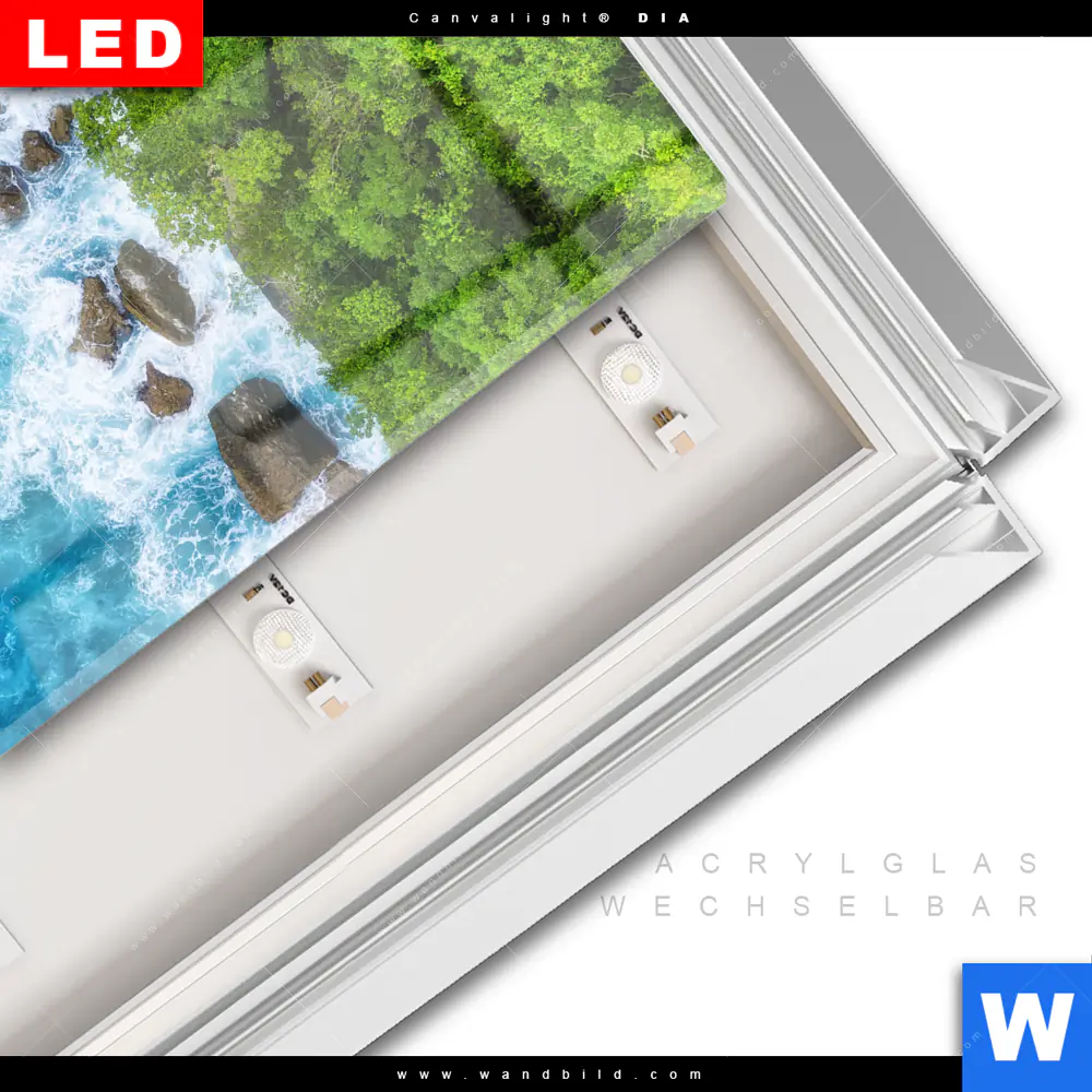 Leuchtbild Acrylglas Canvalight® DIA | Wald & Meer | Quadrat - Image 3