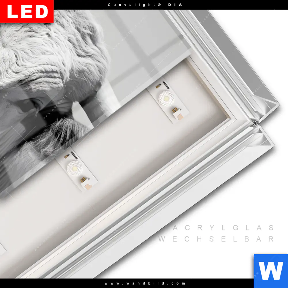 Leuchtbild Acrylglas Canvalight® DIA | Weisser Bulle | Hochformat - Image 3