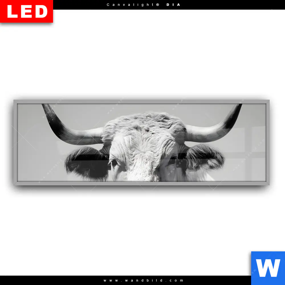 Leuchtbild Acrylglas Canvalight® DIA | Weisser Bulle | Panorama - Image 2