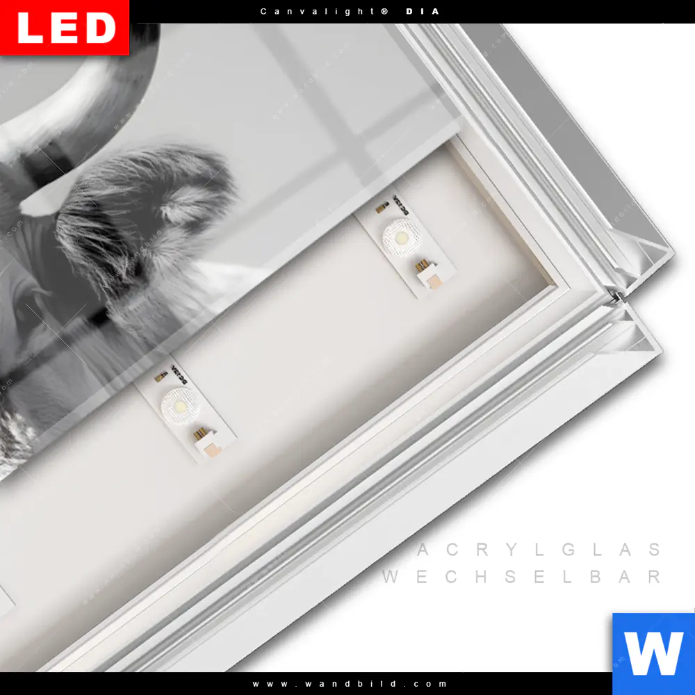 Leuchtbild Acrylglas Canvalight® DIA | Weisser Bulle | Panorama - Image 3