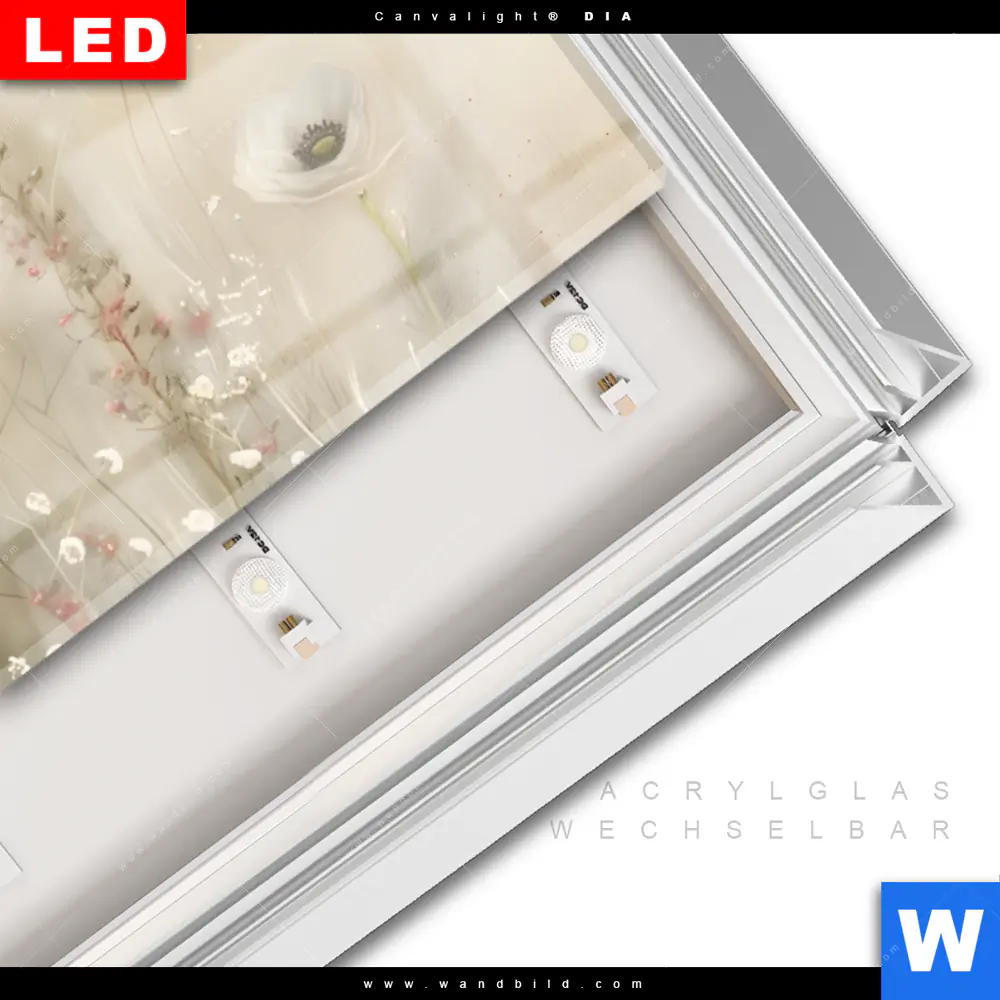 Leuchtbild Acrylglas Canvalight® DIA | Zarte Wildblumen in Pastelltönen | Panorama - Image 3