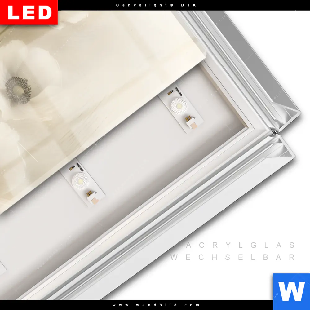 Leuchtbild Acrylglas Canvalight® DIA | Zarte Wildblumen in Pastelltönen | Schmal - Image 3