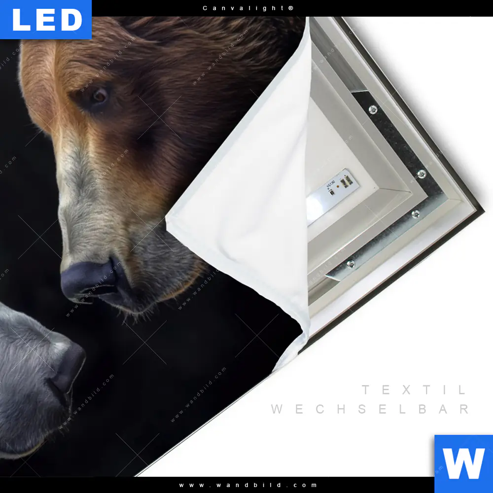 Canvalight® Leuchtbild | Bären - Zweisamkeit | Querformat - Image 3