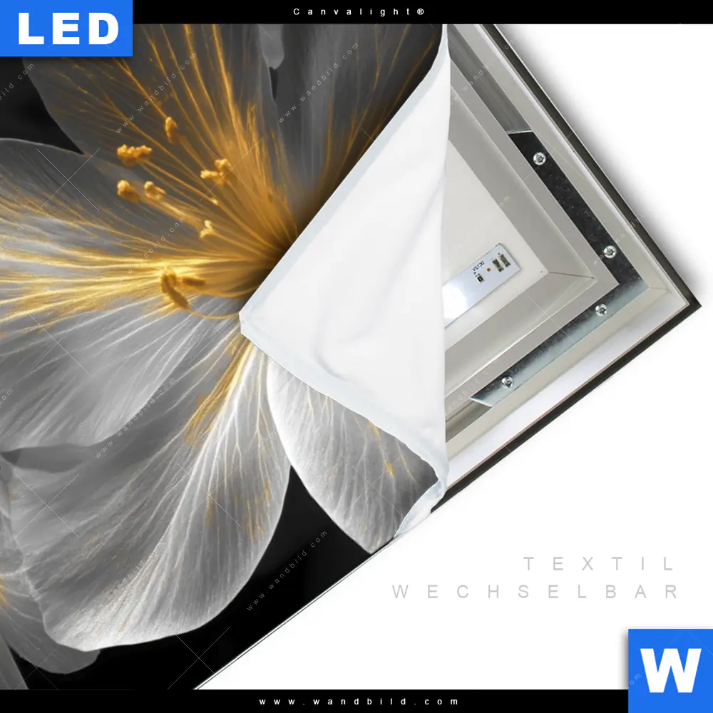 Canvalight® Leuchtbild | Blüten Gold & Weiß | Querformat - Image 3