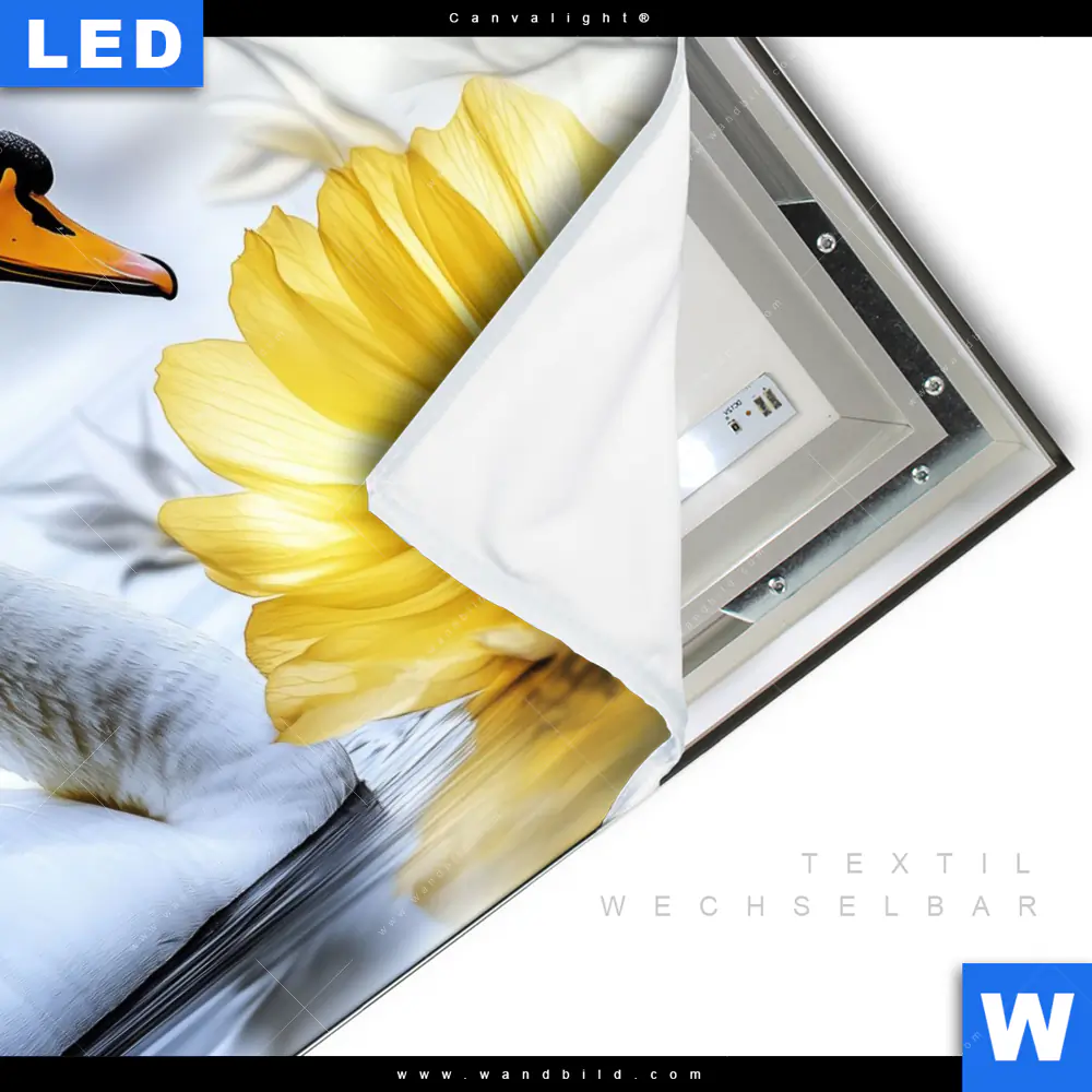 Canvalight® Leuchtbild | Der Schwan - Seeromantik | Quadrat - Image 3