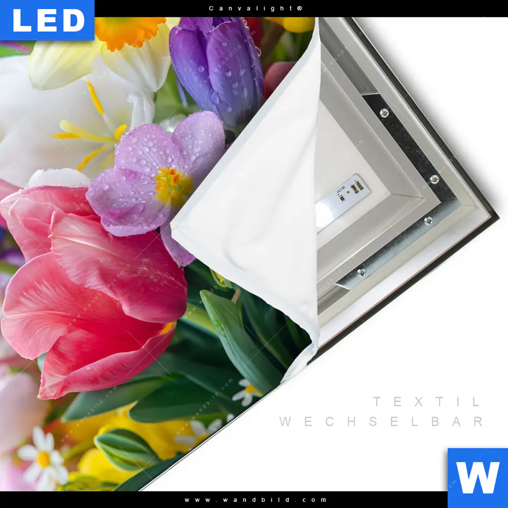 Canvalight® Leuchtbild | Farbenfrohe Frühlingsblüten | Quadrat - Image 3