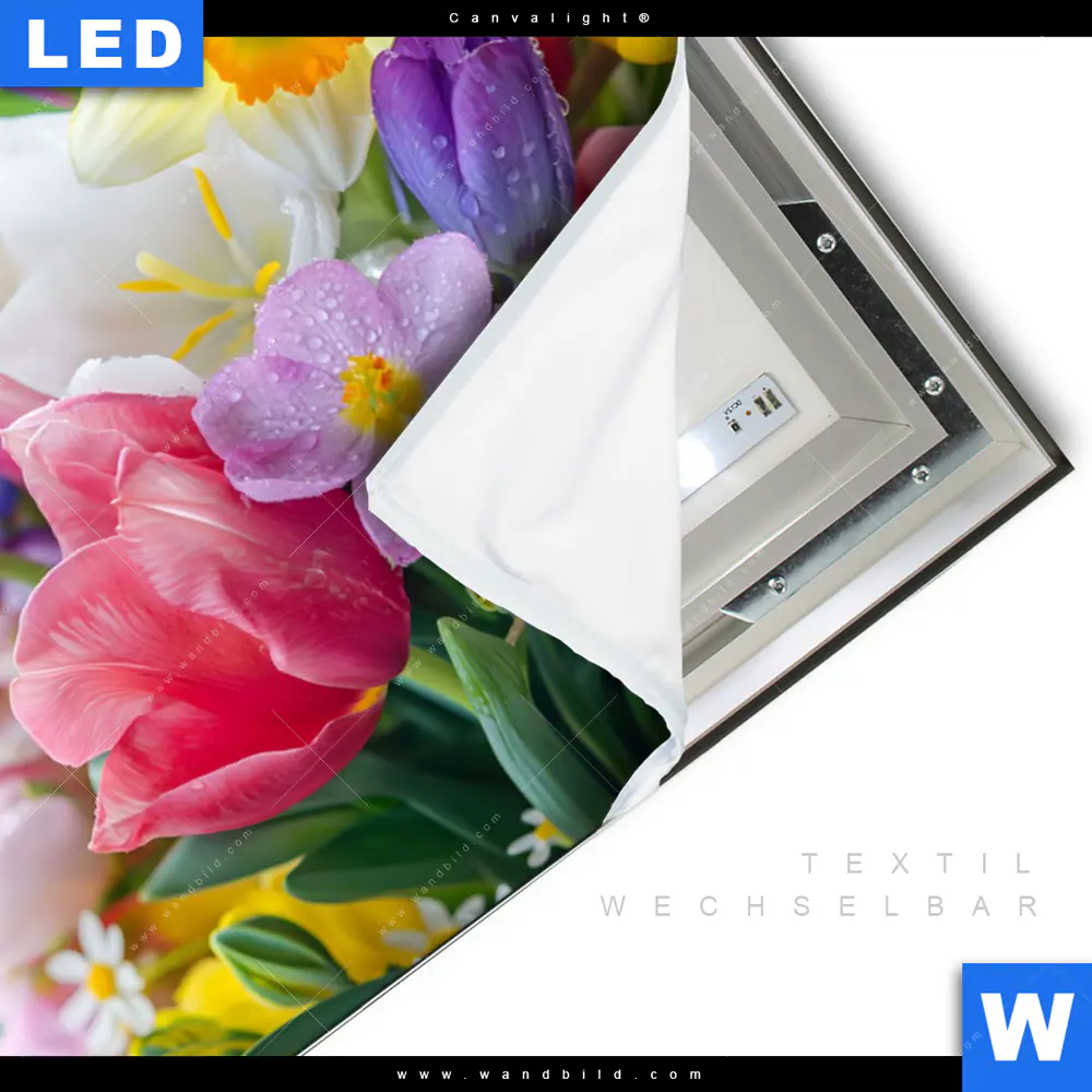 Canvalight® Leuchtbild | Farbenfrohe Frühlingsblüten | Querformat - Image 3