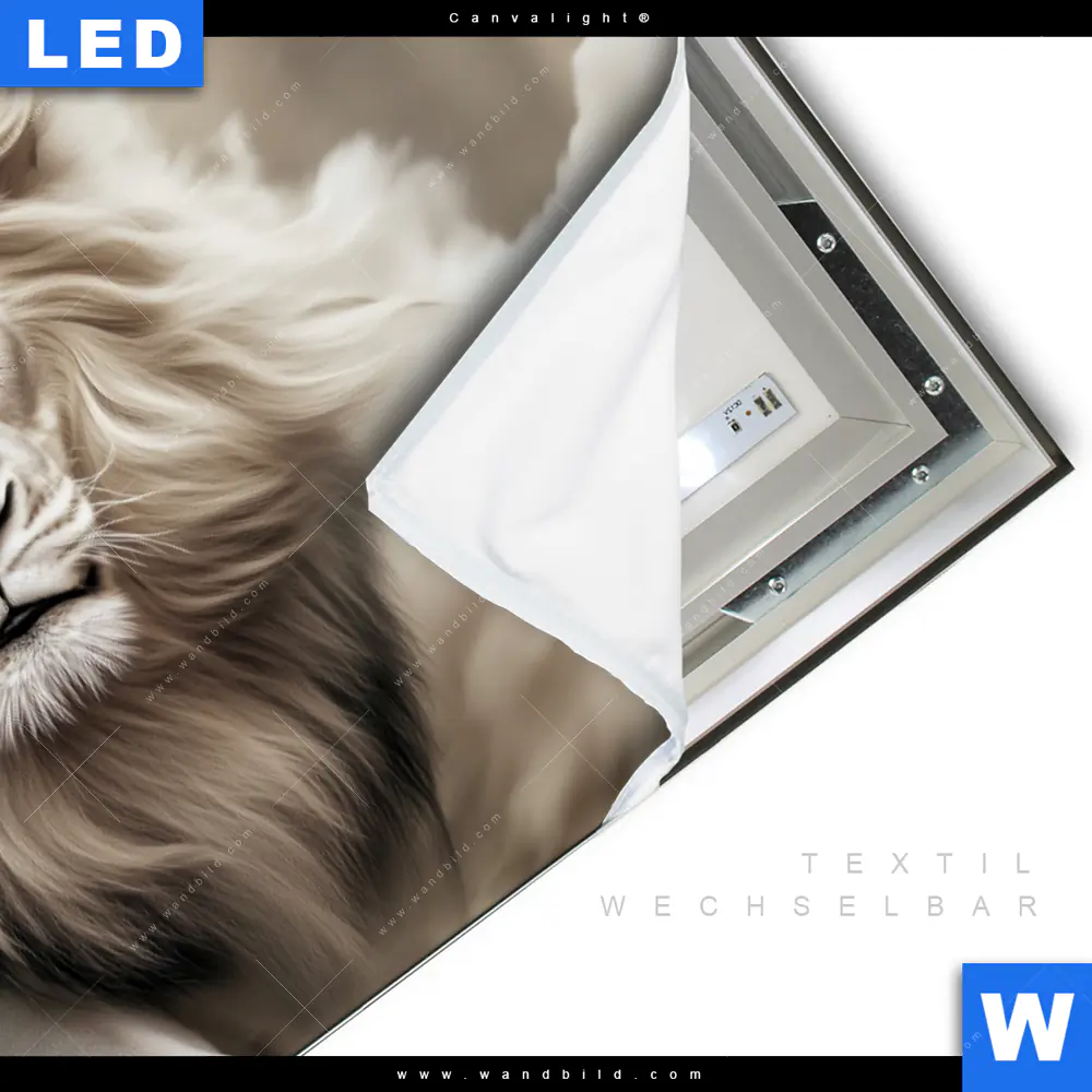 Canvalight® Leuchtbild | König der Tiere | Querformat - Image 3