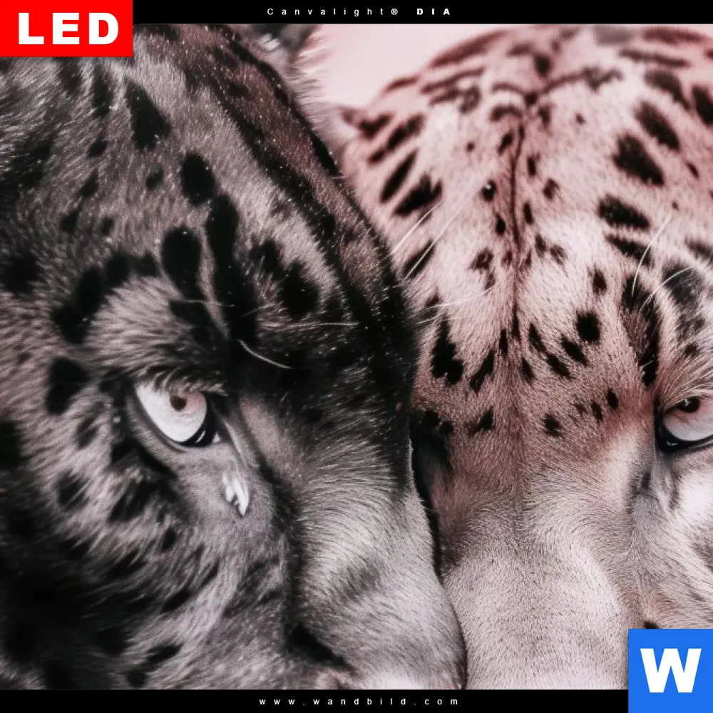 Canvalight® Leuchtbild | Leoparden - Harmonie in Pastell | Schmal - Image 4