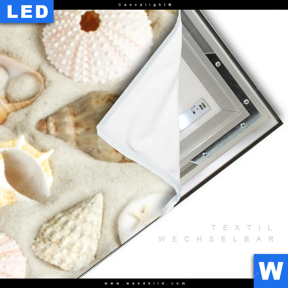 Canvalight® Leuchtbild | Muschel - Schätze des Meeres | Schmal - Image 3