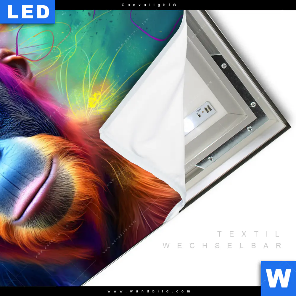Canvalight® Leuchtbild | Orang-Utan in Regenbogenfarben | Querformat - Image 3