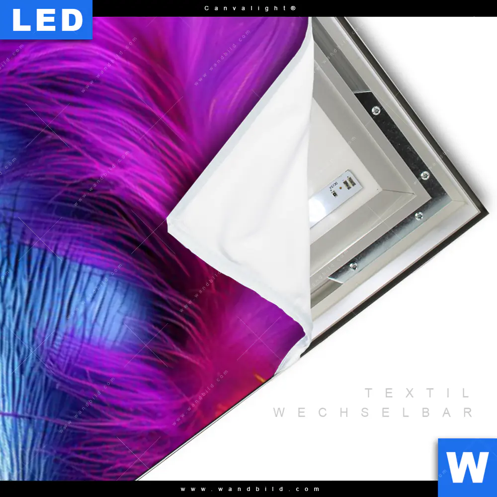 Canvalight® Leuchtbild | Orang-Utan in Regenbogenfarben | Schmal - Image 3