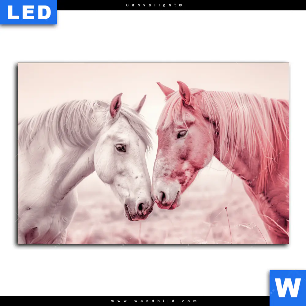 Canvalight® Leuchtbild | Pferde - Harmonie in Pastell | Querformat - Image 2