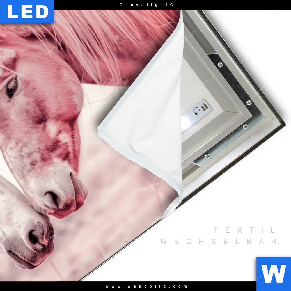 Canvalight® Leuchtbild | Pferde - Harmonie in Pastell | Querformat - Image 3