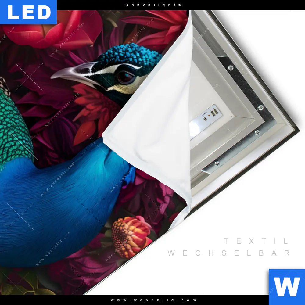 Canvalight® Leuchtbild | Prachtvoller Pfau und Blüten | Hochformat - Image 3