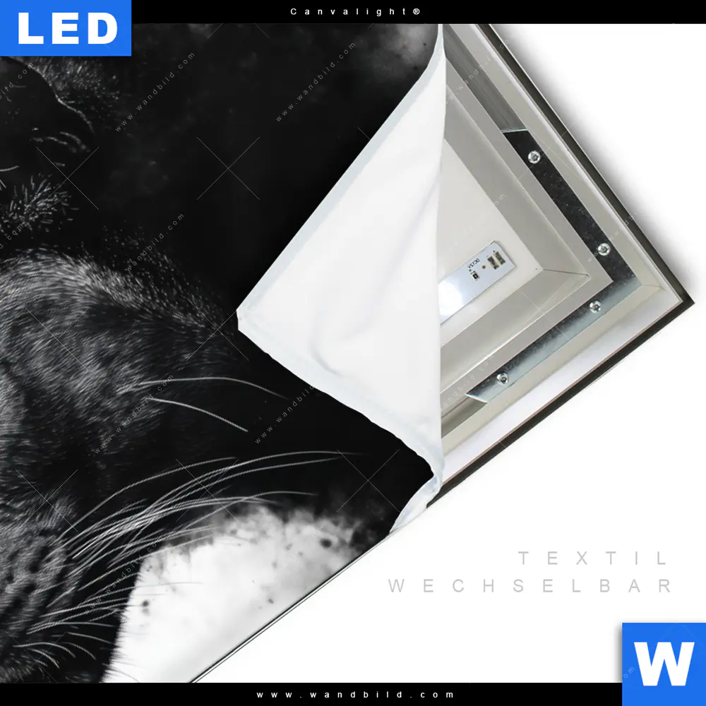 Canvalight® Leuchtbild | Schwarzer Panther | Querformat - Image 3
