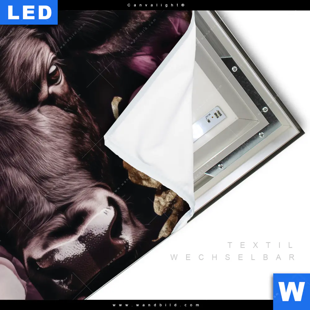 Canvalight® Leuchtbild | Stier mit Blumen | Querformat - Image 3