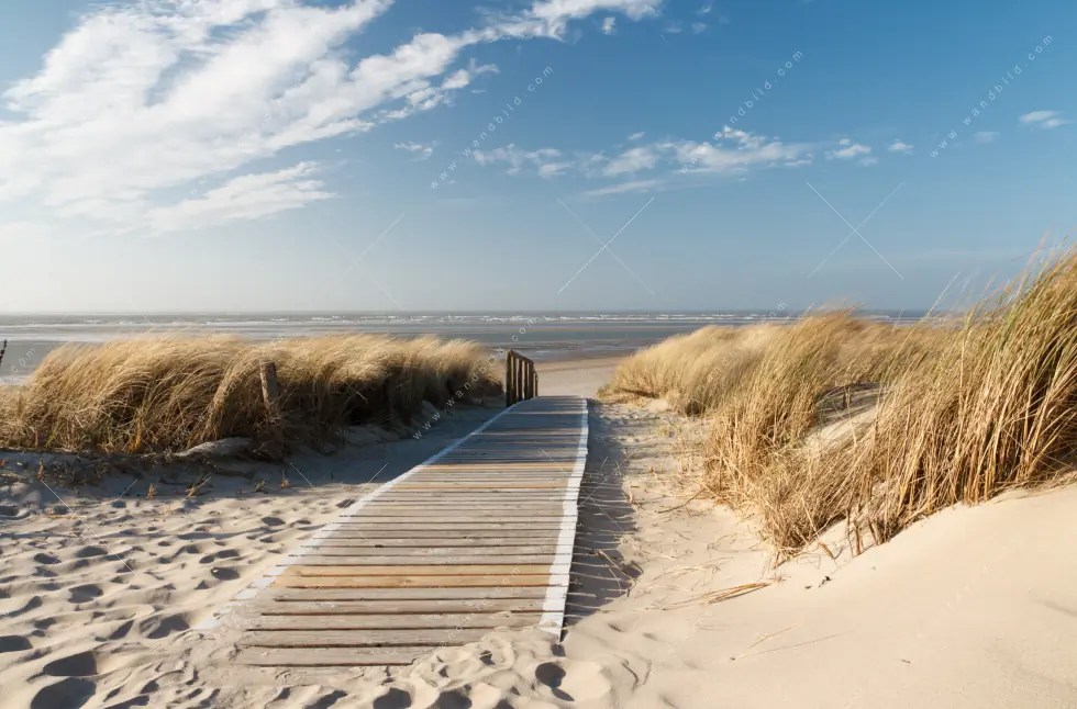 Canvalight® Leuchtbild | Strand auf Langeoog | Panorama - Image 5