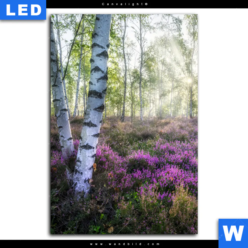 Canvalight® Leuchtbild | Wald mit Heideblumen | Hochformat - Image 2