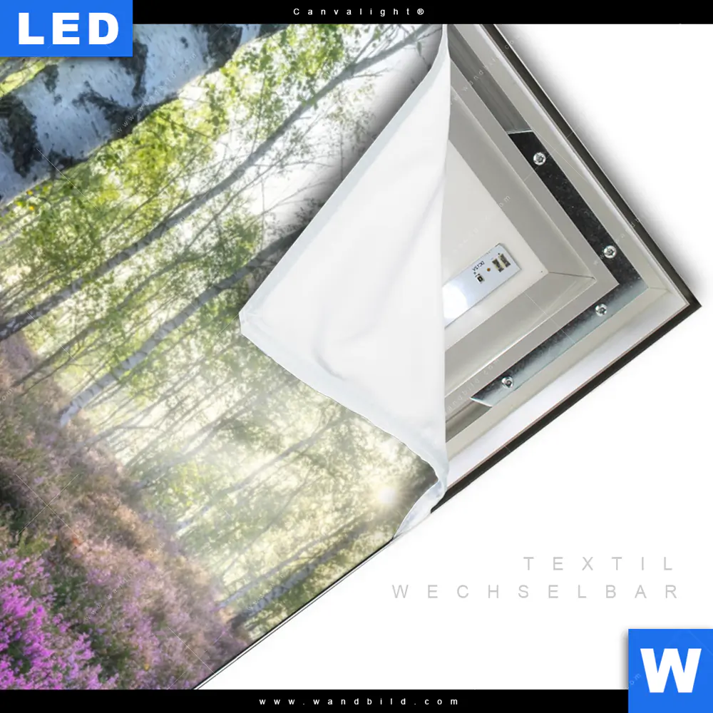 Canvalight® Leuchtbild | Wald mit Heideblumen | Hochformat - Image 3