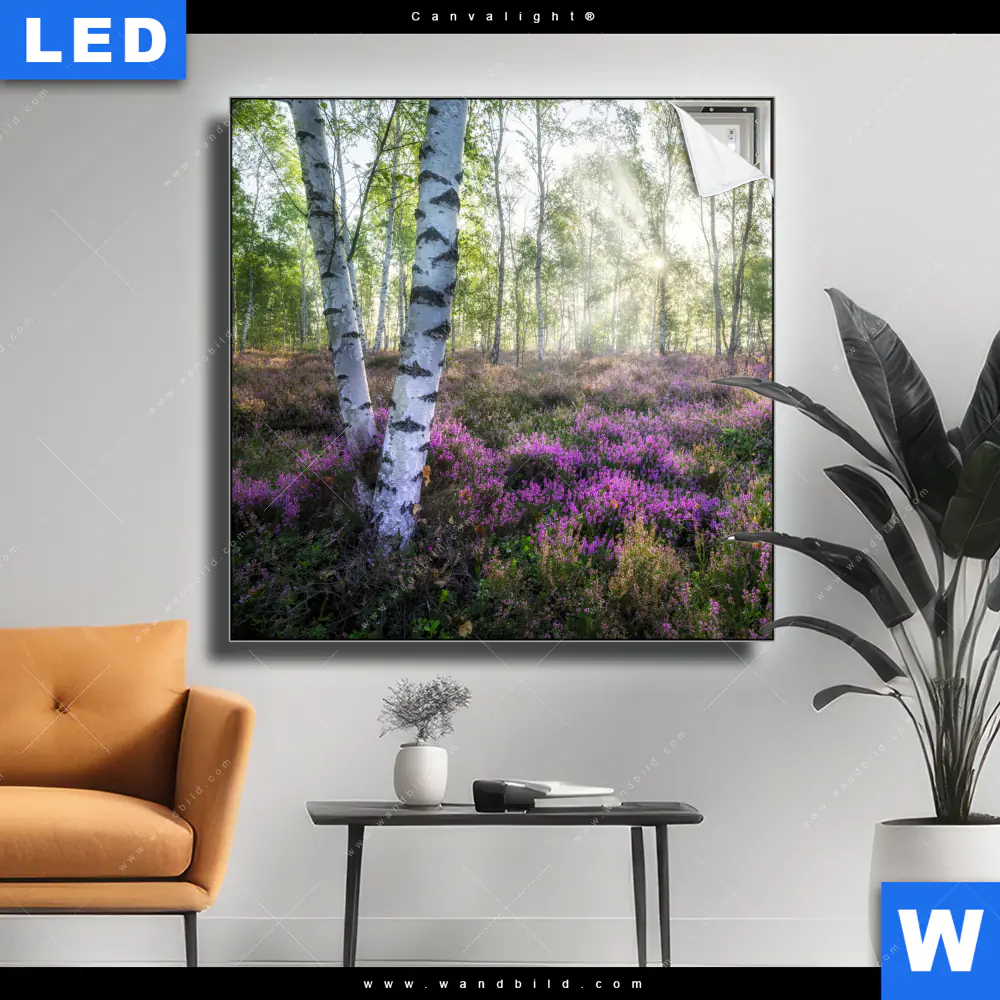 Canvalight® Leuchtbild | Wald mit Heideblumen | Quadrat