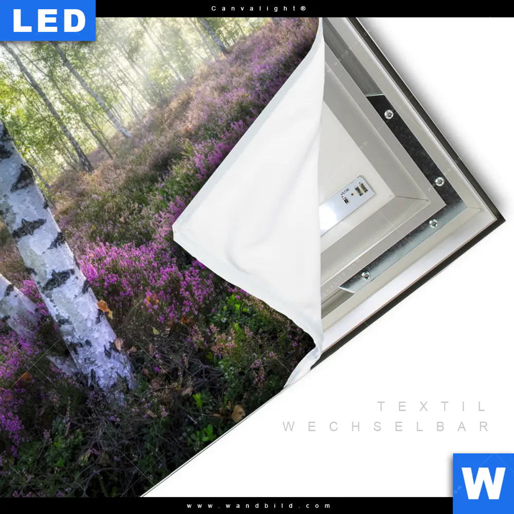 Canvalight® Leuchtbild | Wald mit Heideblumen | Quadrat - Image 3