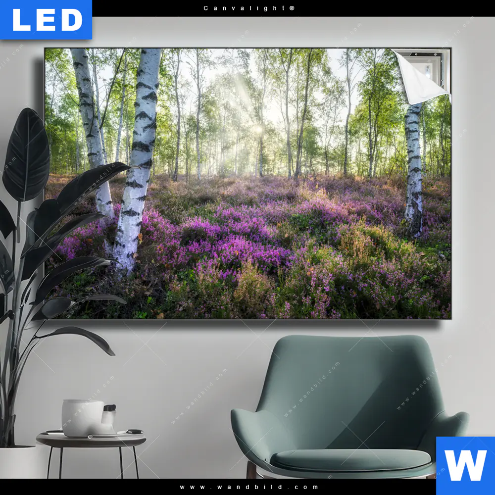 Canvalight® Leuchtbild | Wald mit Heideblumen | Querformat