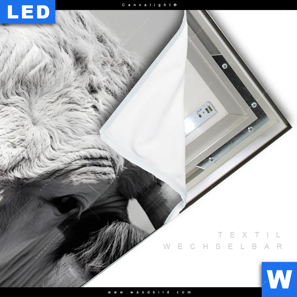 Canvalight® Leuchtbild | Weisser Bulle | Hochformat - Image 3