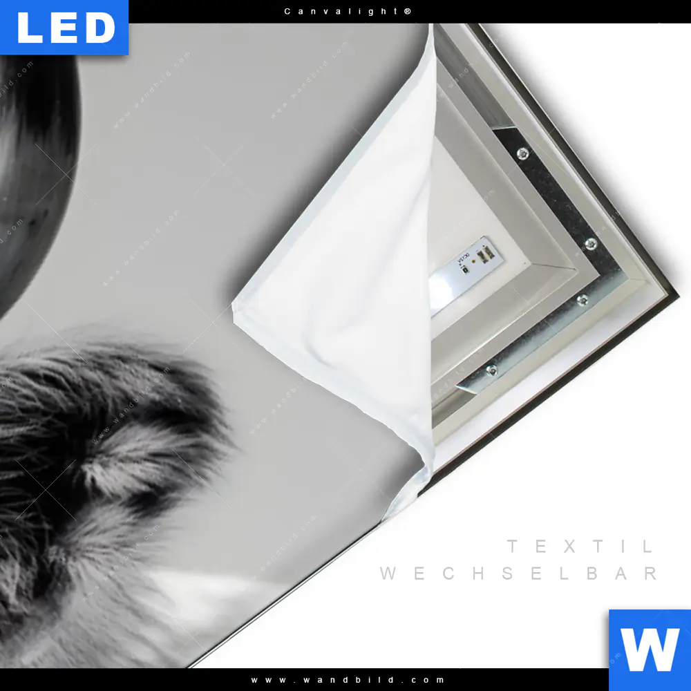 Canvalight® Leuchtbild | Weisser Bulle | Panorama - Image 3