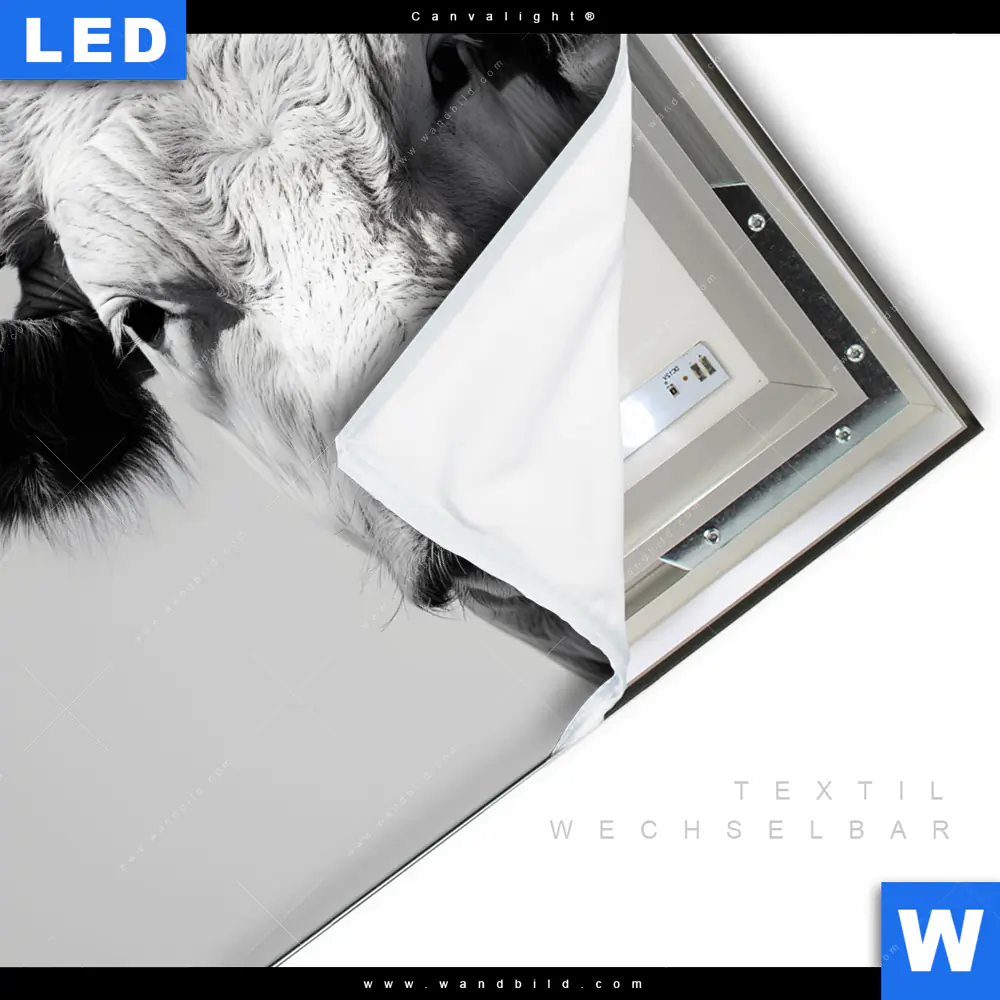 Canvalight® Leuchtbild | Weisser Bulle | Quadrat - Image 3