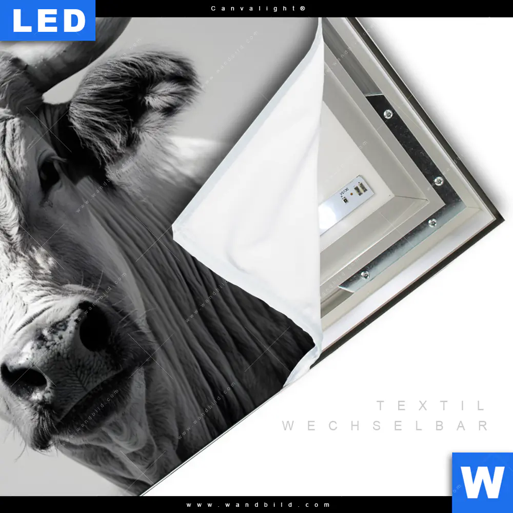 Canvalight® Leuchtbild | Weisser Bulle | Querformat - Image 3