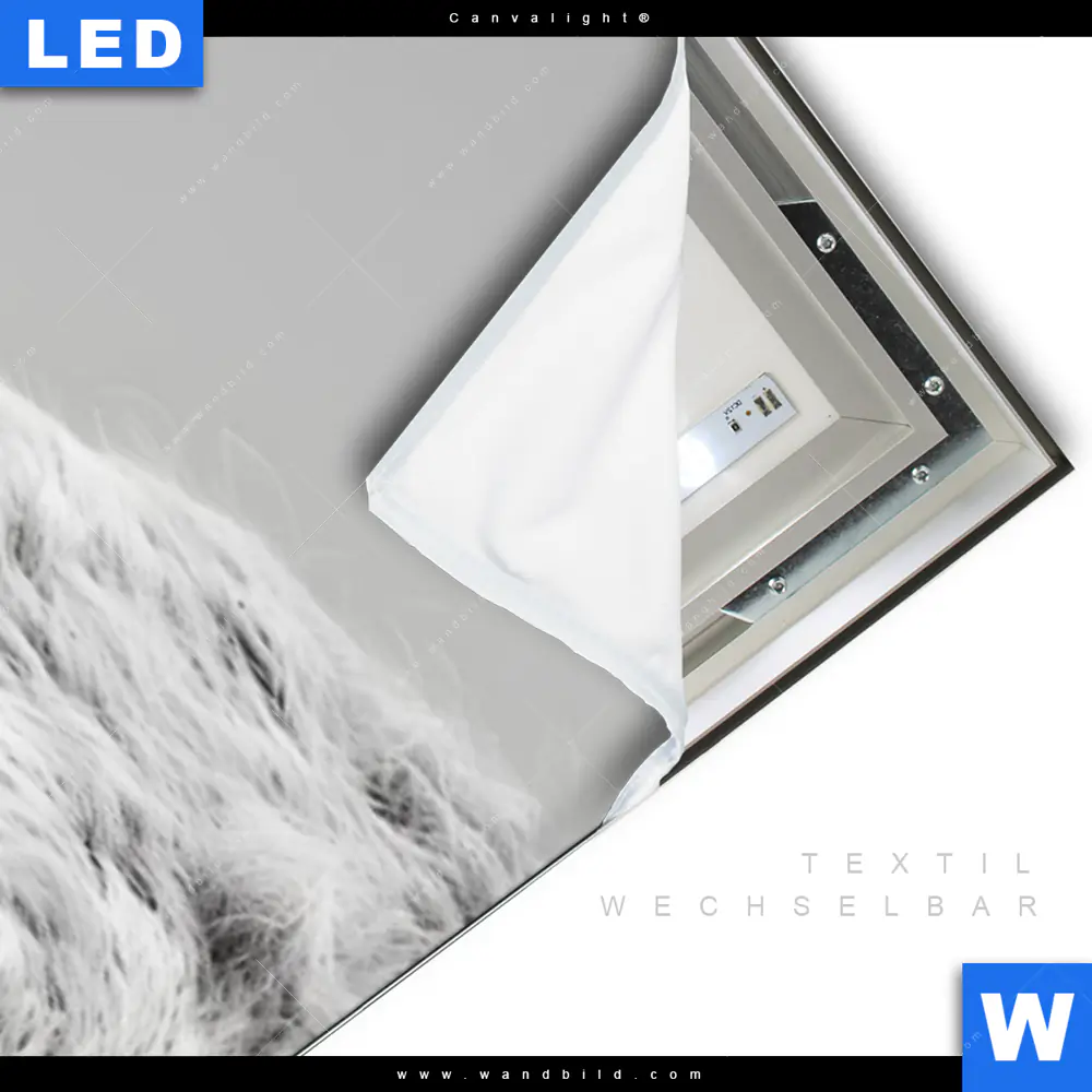 Canvalight® Leuchtbild | Weisser Bulle | Schmal - Image 3