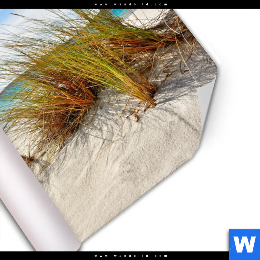 Poster | Dünenlandschaft mit Meerblick | Querformat - Image 3