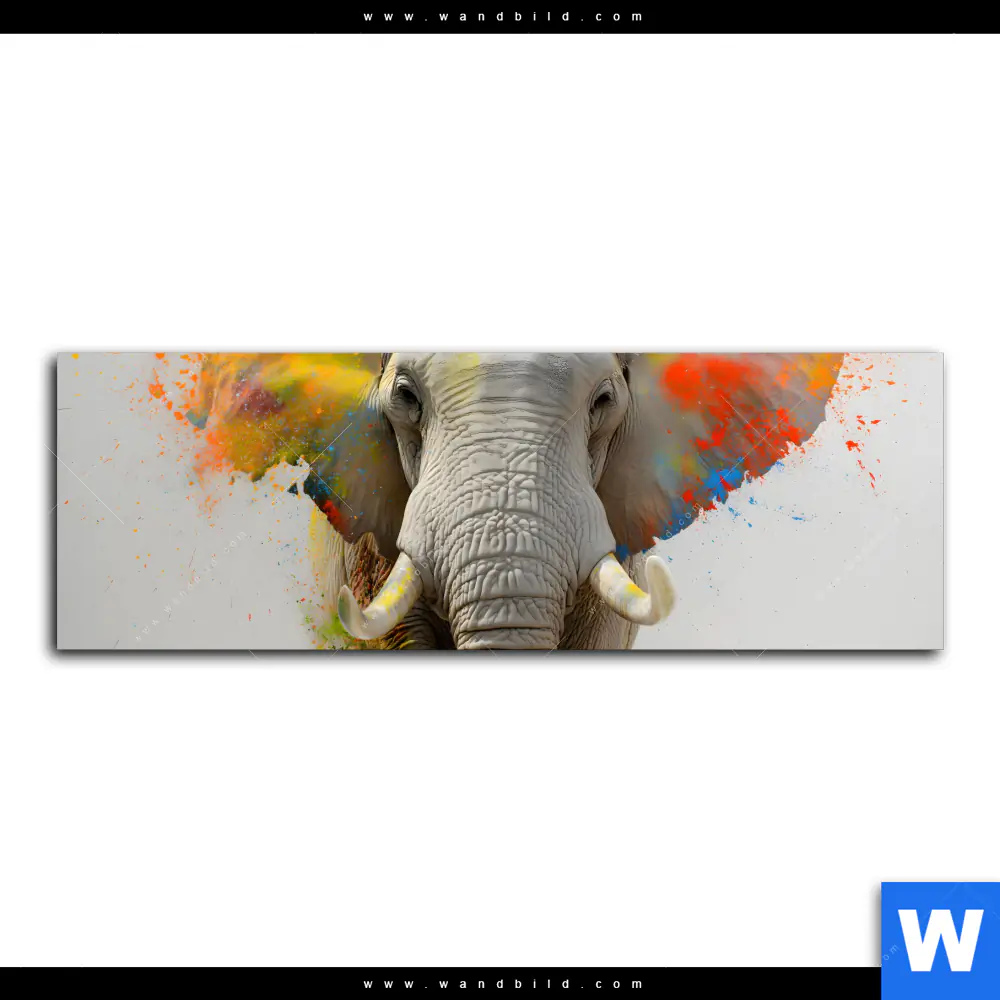 Poster | Farbenexplosion mit Elefant | Panorama - Image 2