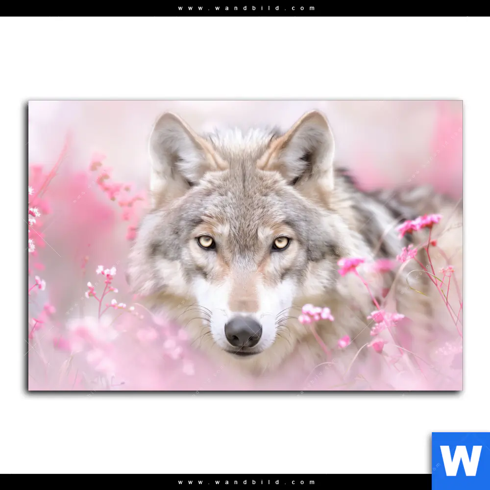 Poster | Friedlicher Wolf | Querformat - Image 2
