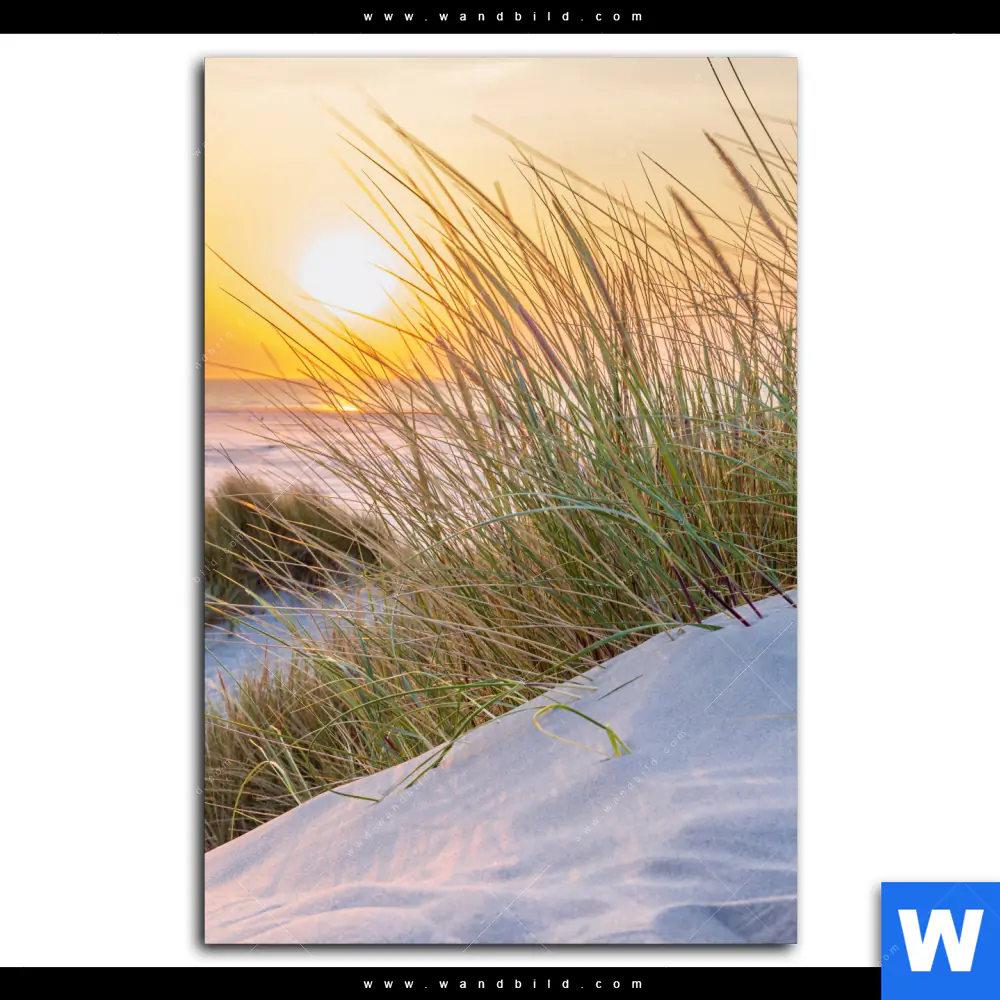 Poster | Goldenes Licht über Sanddünen | Hochformat - Image 2