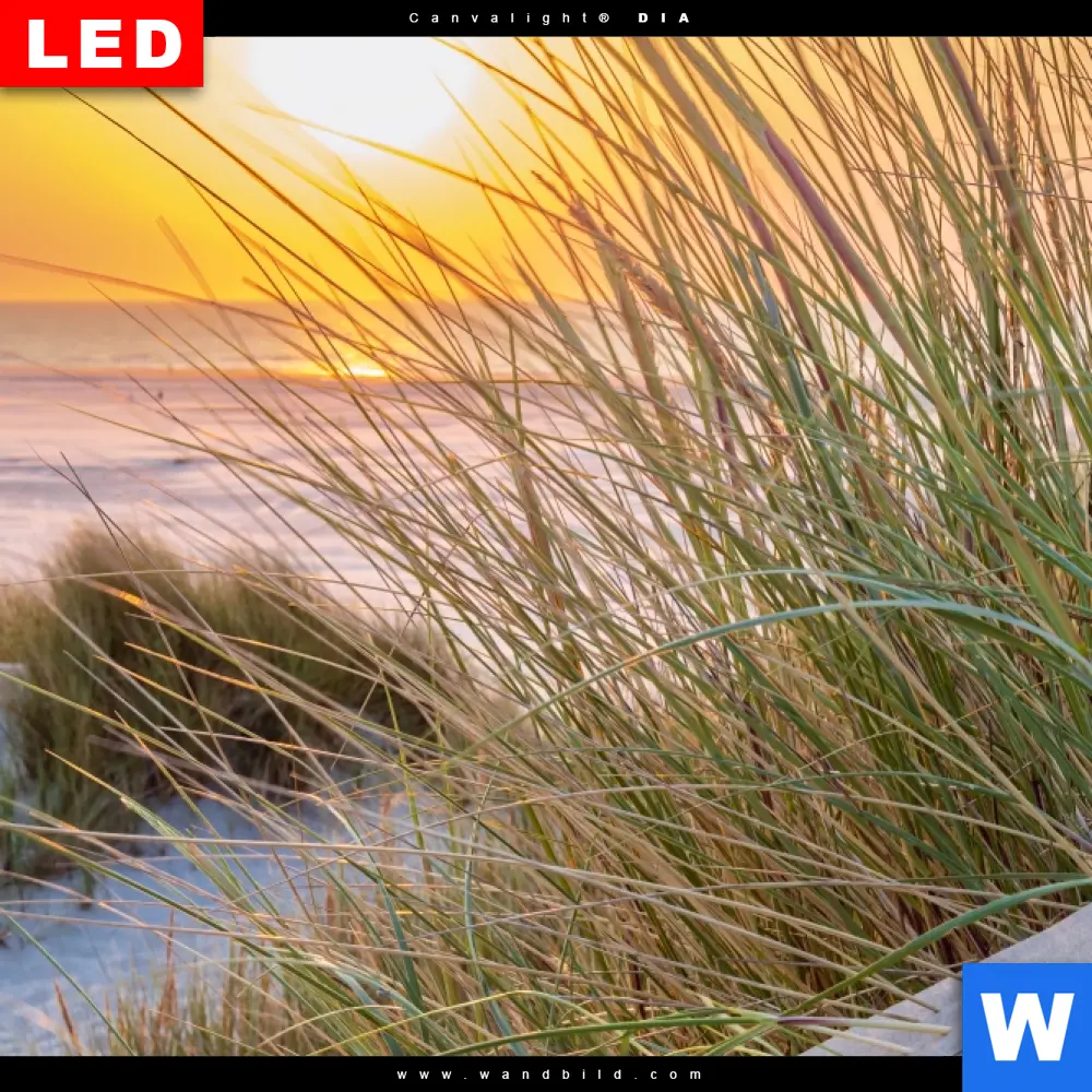 Poster | Goldenes Licht über Sanddünen | Hochformat - Image 4