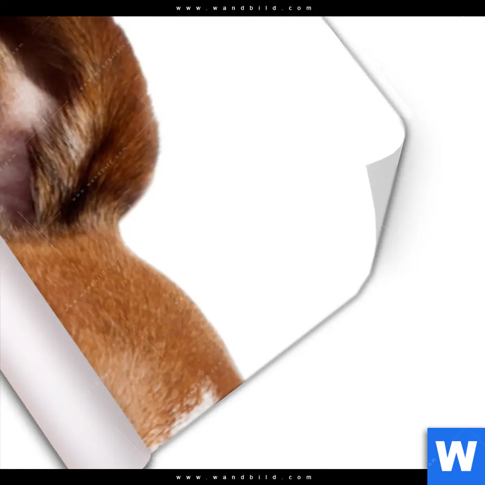 Poster | Kinoabend mit Terrier | Schmal - Image 3