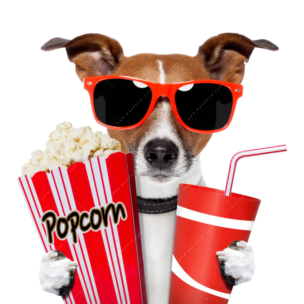 Poster | Kinoabend mit Terrier | Schmal - Image 5
