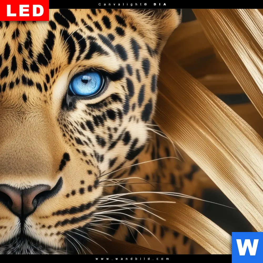Poster | Leopard im goldenen Dschungel | Quadrat - Image 4