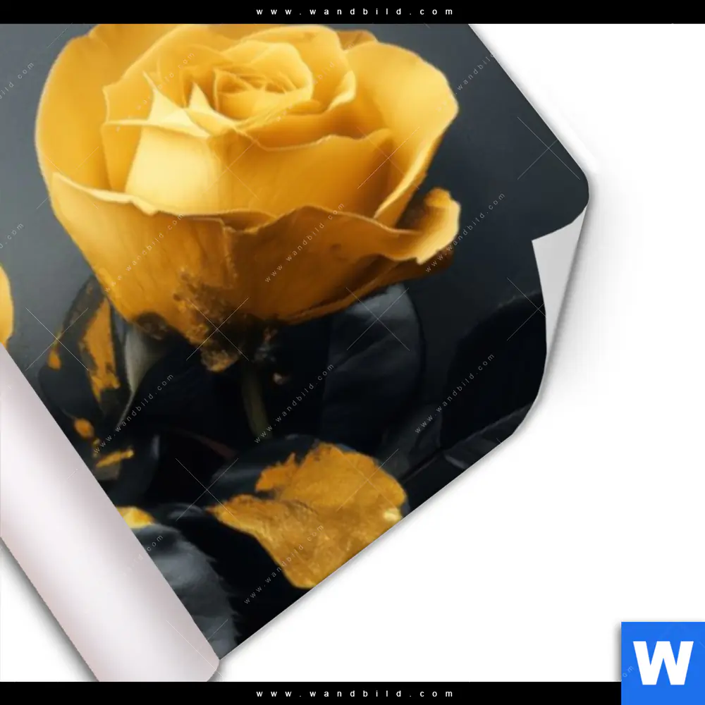 Poster | Luxus Rosen | Panorama - Image 3