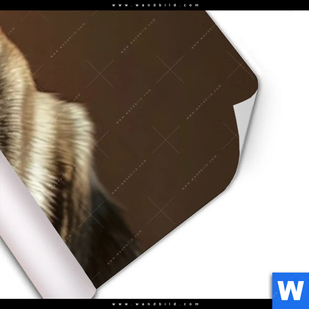 Poster | Mops mit Cheeseburger | Schmal - Image 3