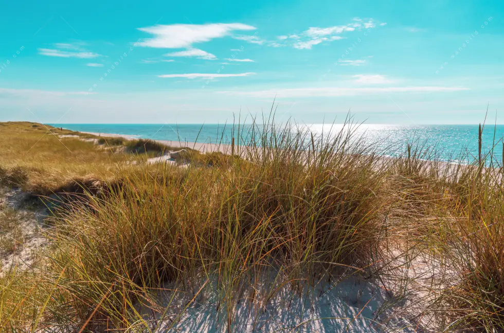 Poster | Nordseelandschaft auf Sylt | Querformat - Image 5