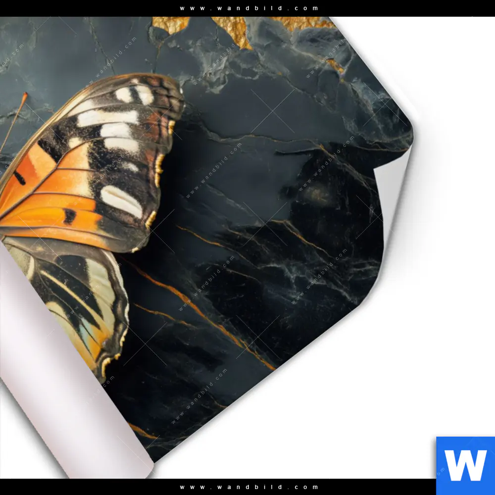 Poster | Schmetterling auf Marmor | Querformat - Image 3