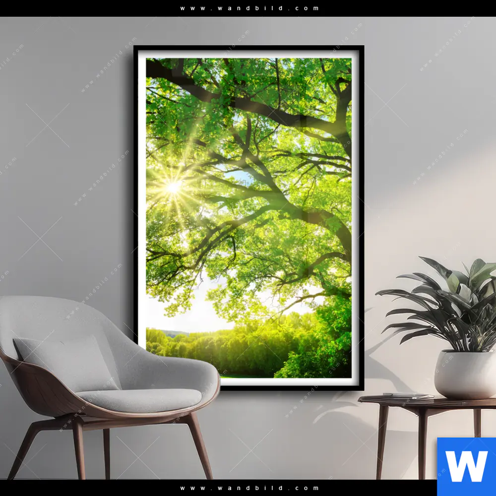 Poster | Sonnendurchfluteter Baum | Hochformat
