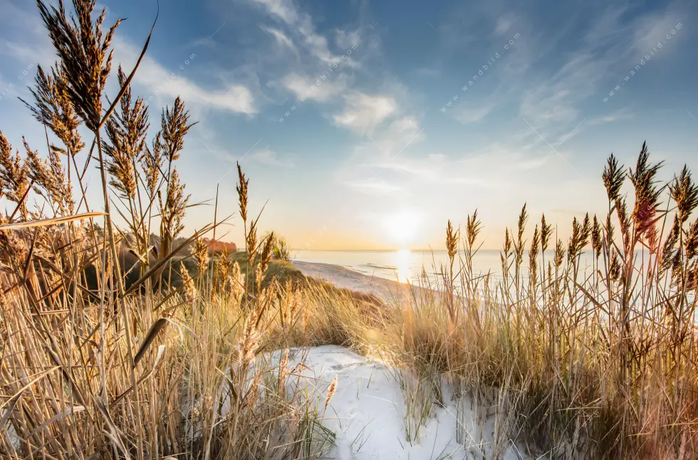 Poster | Urlaub am Meer | Schmal - Image 5