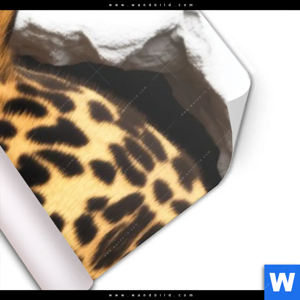 Poster | Wanddurchbruch - Leopard | Schmal - Image 3