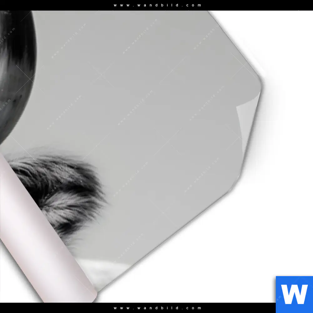 Poster | Weisser Bulle | Panorama - Image 3