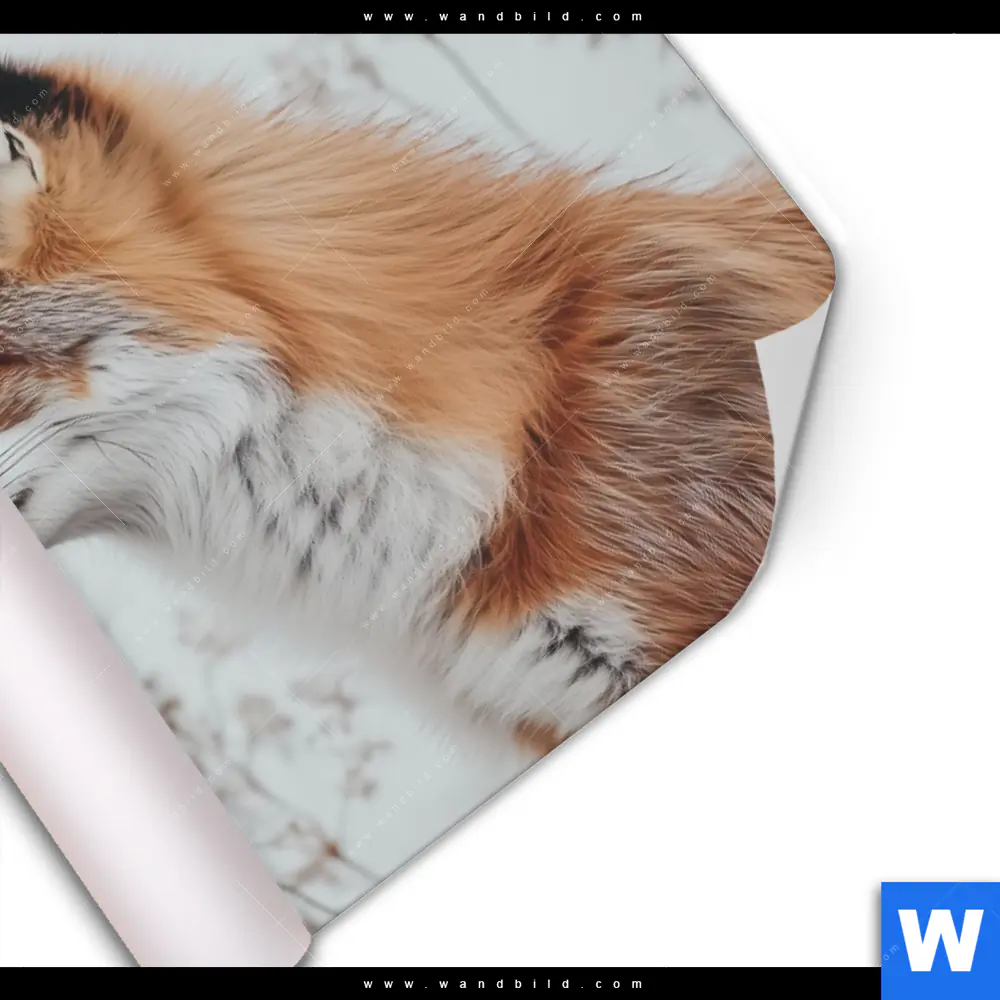 Poster | Winterstille - Der Fuchs | Querformat - Image 3