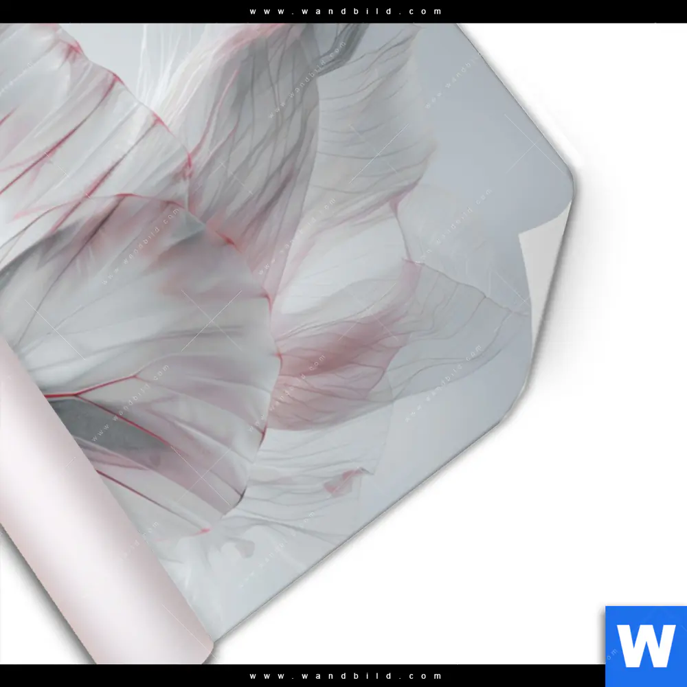 Poster | Zarter Schmetterling | Querformat - Image 3